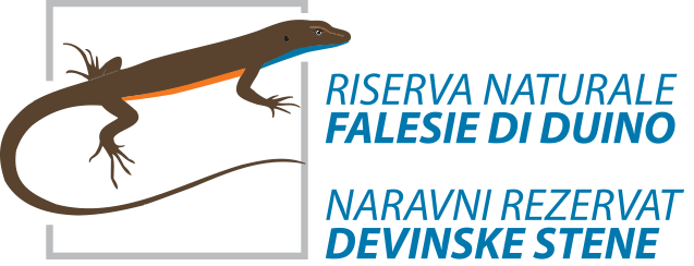 Riserva Naturale Regionale delle Falesie di Duino