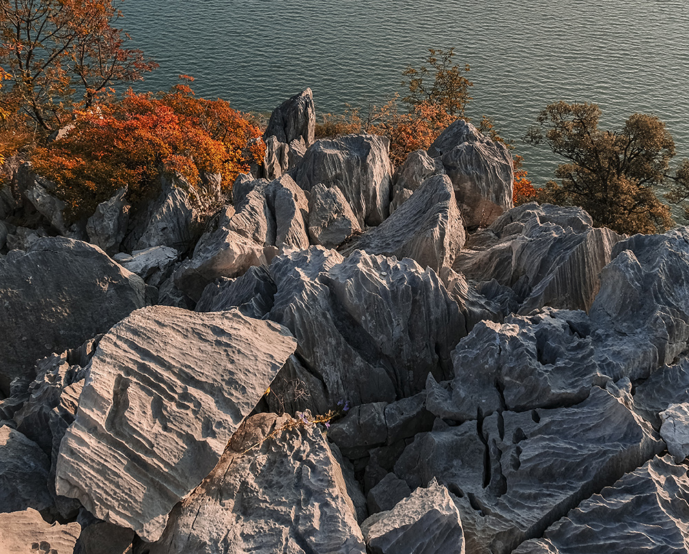 Rocce calcaree delle Falesie di Duino